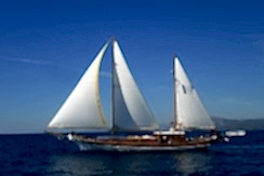 bodrum-mavi-yolculuk-tatil-16