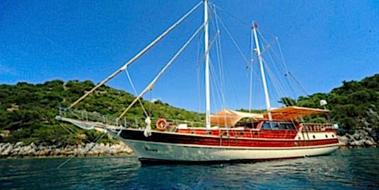 Mavi Yolculuk Turu