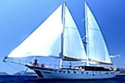 mavi-tur-bodrum