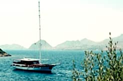 Kiralık 6 Kamara Tekne